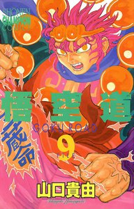 悟空道 (9) 電子書籍版