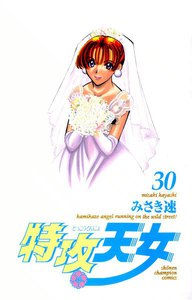 特攻天女 (30) 電子書籍版
