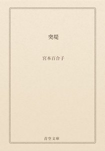 突堤