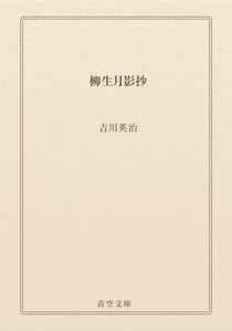 柳生月影抄