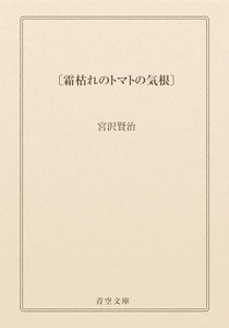 〔霜枯れのトマトの気根〕