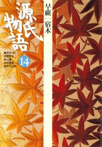 源氏物語 14 古典セレクション 電子書籍版