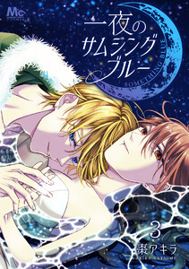 一夜のサムシングブルー (3) 電子書籍版