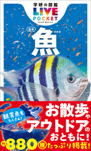 学研の図鑑LIVE(ライブ)ポケット 魚 新版 電子書籍版