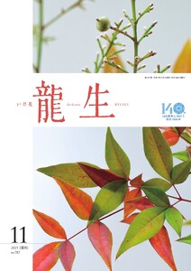 いけ花龍生 11月号 電子書籍版