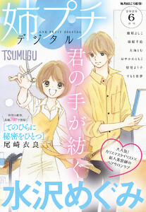 姉系Petit Comic