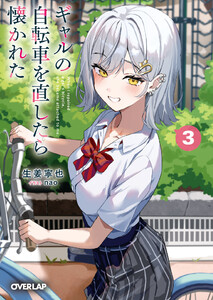 ギャルの自転車を直したら懐かれた 3