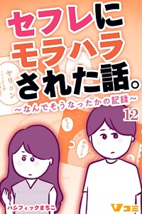 セフレにモラハラされた話。～なんでそうなったかの記録～12 電子書籍版