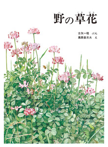 野の草花