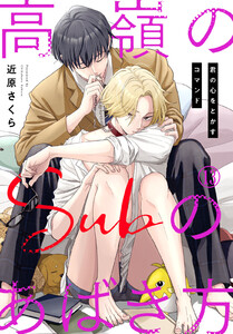 高嶺のSubのあばき方～君の心をとかすコマンド～ (13)