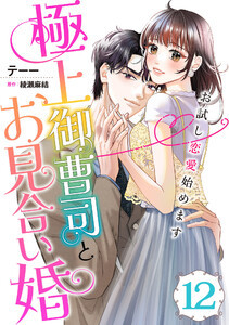 極上御曹司とお見合い婚～お試し恋愛始めます～【分冊版】12話 電子書籍版