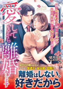 愛しているから離婚します～姉の身代わりで嫁いだ若奥様を、年の差弁護士は独占欲で逃がさない～ 電子書籍版
