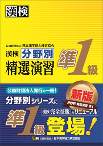 漢検 準1級 分野別 精選演習 電子書籍版