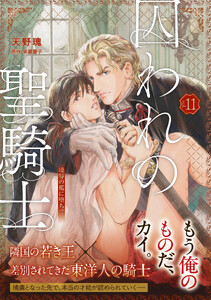 【単話版】囚われの聖騎士(11)