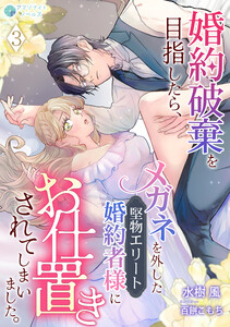 婚約破棄を目指したら、メガネを外した堅物エリート婚約者様にお仕置きされてしまいました。(3) 電子書籍版