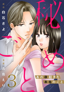秘めごと～あの夜起きた本当のこと～ 3巻 電子書籍版