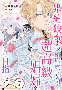 婚約破棄されて娼館に売られる(予定)なので、超高級娼婦を目指します! (7)