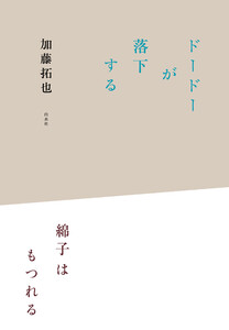 ドードーが落下する/綿子はもつれる