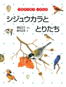 シジュウカラととりたち