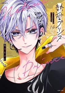 新装版 熱愛プリンス お兄ちゃんはキミが好き 14 電子書籍版