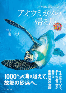 アオウミガメの帰る島