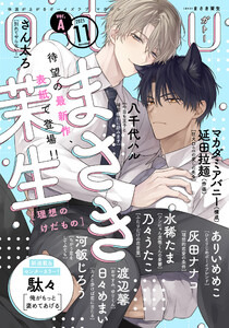gateau (ガトー) 2025年11月号[雑誌] ver.A 電子書籍版