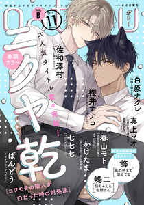 gateau (ガトー) 2025年11月号[雑誌] ver.B 電子書籍版