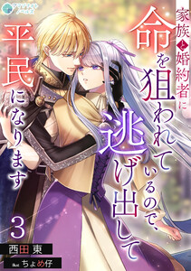 家族と婚約者に命を狙われているので、逃げ出して平民になります(3) 電子書籍版