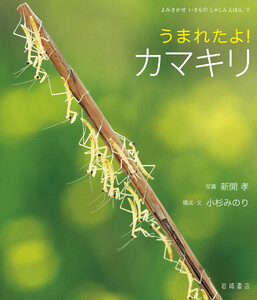 うまれたよ! カマキリ 電子書籍版