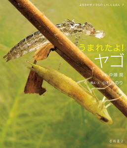 うまれたよ! ヤゴ 電子書籍版