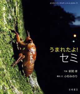 うまれたよ! セミ 電子書籍版