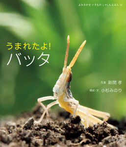 うまれたよ! バッタ 電子書籍版