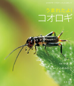 うまれたよ! コオロギ 電子書籍版