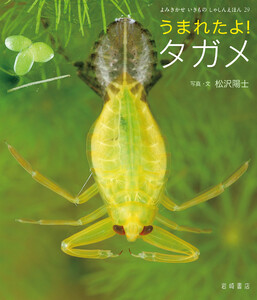 うまれたよ! タガメ 電子書籍版