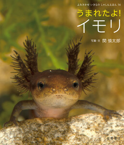 うまれたよ! イモリ 電子書籍版