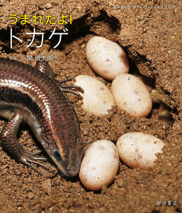 うまれたよ! トカゲ 電子書籍版