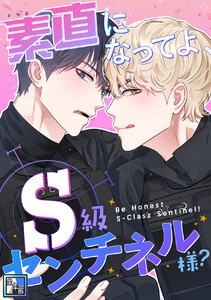 素直になってよ、S級センチネル様?【全年齢版】 (3)