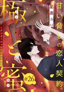 極と蜜～アフターシャンパンコール～[1話売り] story26