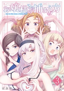 お嬢様の捕まえ方 (3)