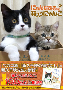 【無料】にゃんだふる箱入りにゃんこ