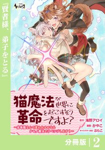 猫魔法が世界に革命を起こすそうですよ?【分冊版】(ノヴァコミックス)2 電子書籍版