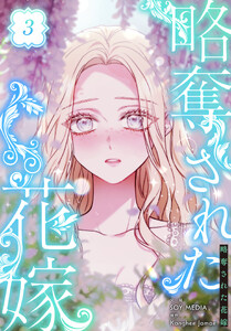 略奪された花嫁【特装版】(3) 電子書籍版