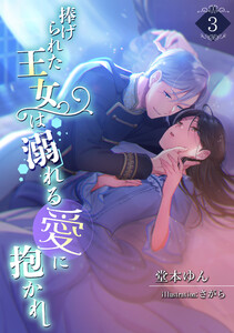 捧げられた王女は溺れる愛に抱かれ(3) 電子書籍版
