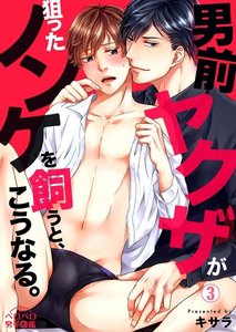 男前ヤクザが狙ったノンケを飼うと、こうなる。(3) 電子書籍版
