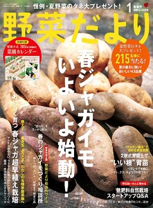 野菜だより 2026年1月号