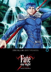 Fate/stay night[Unlimited Blade Works] 8