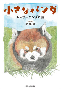 小さなパンダ レッサーパンダの謎