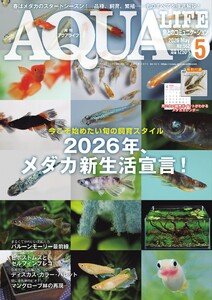 アクアライフ 2026年5月号