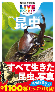 昆虫 新版 電子書籍版