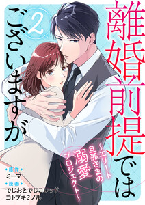 離婚前提ではございますが～エリート旦那さまの溺愛プロジェクト～ 2巻